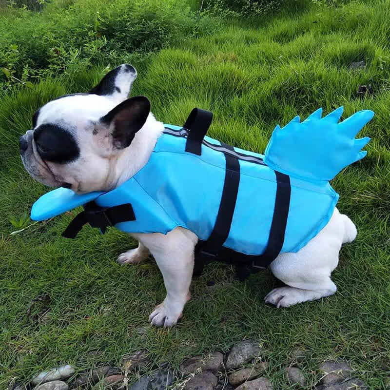 aquaarmor french bulldog life jacket