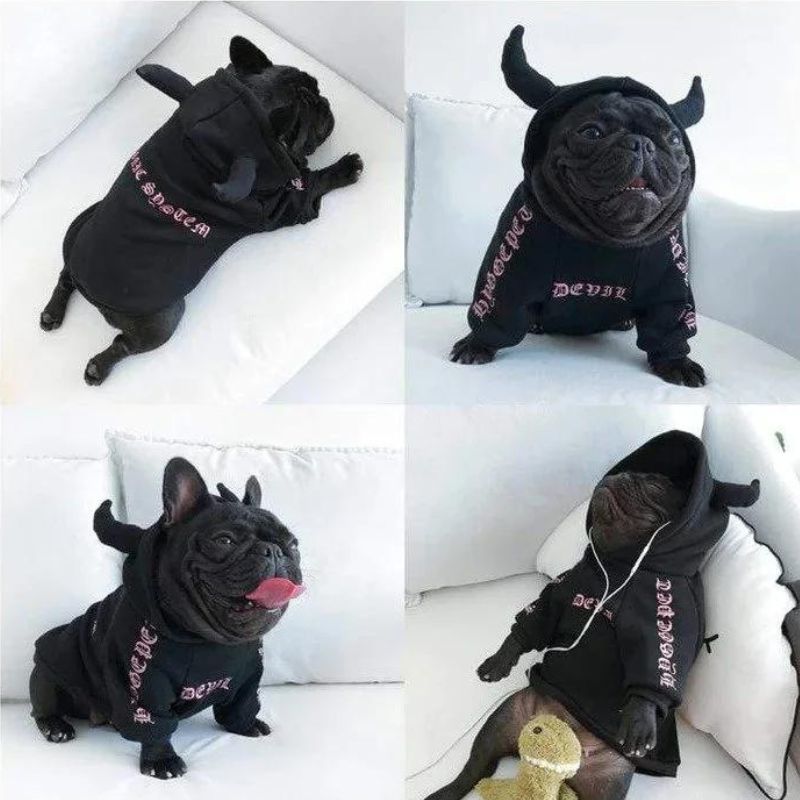 frenchie space shop badside french bulldog hoodie