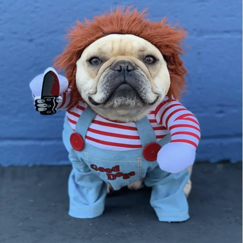 frenchie space shop chucky french bulldog costume