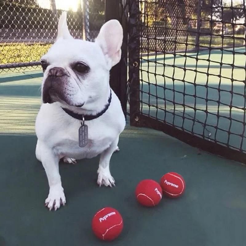 frenchie space shop french bulldog fetch ball