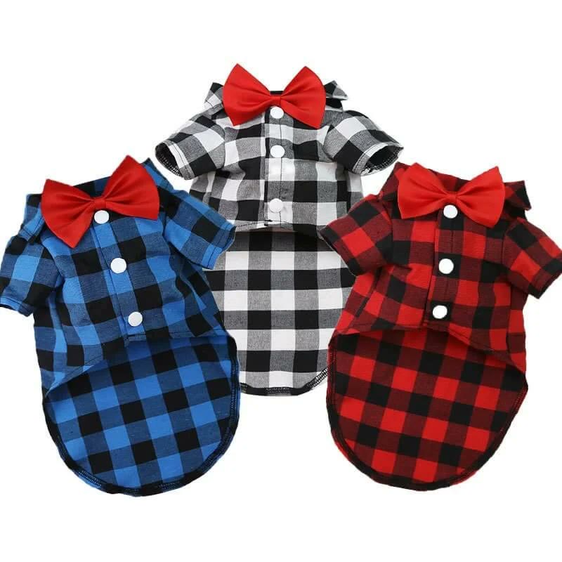 frenchie space shop plaid elegance frenchie shirt