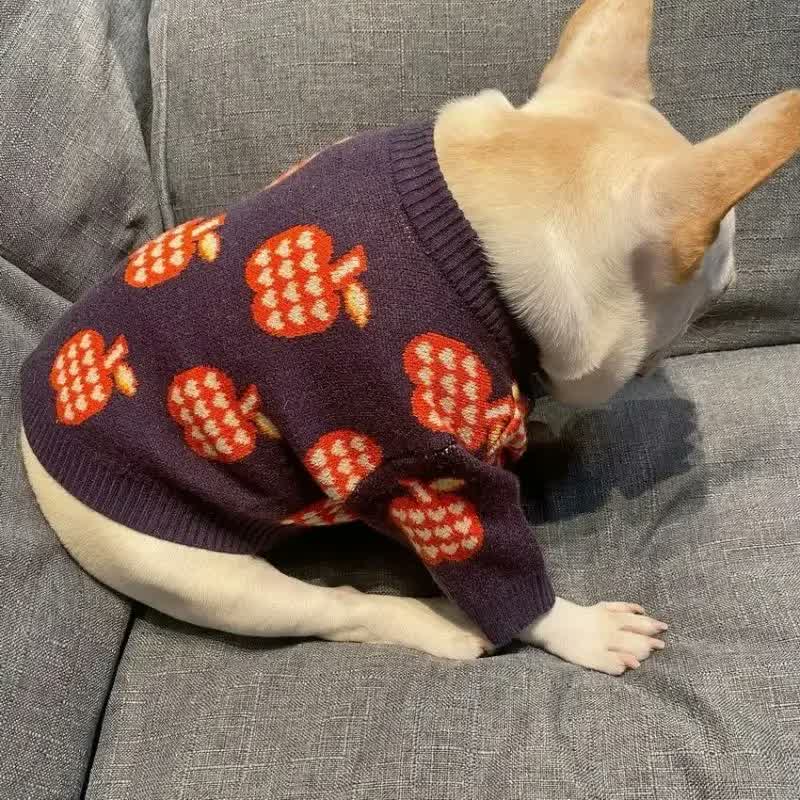 frenchie space shop pomme french bulldog sweater