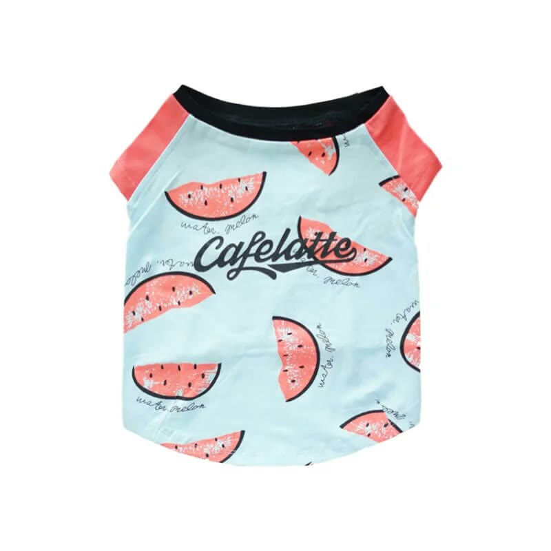 frenchie space shop summer slice frenchie top