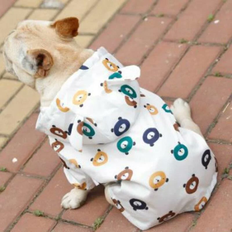 frenchie space shop teddy french bulldog windbreaker