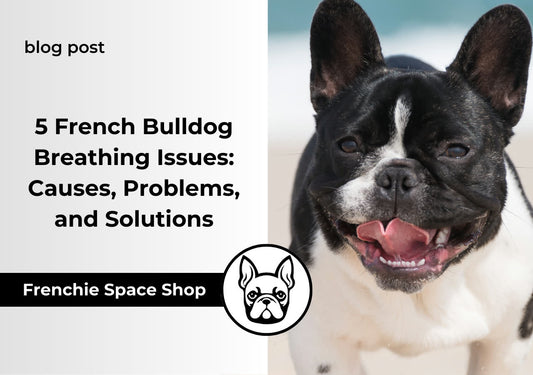 french bulldog breathing issues frenchie space
