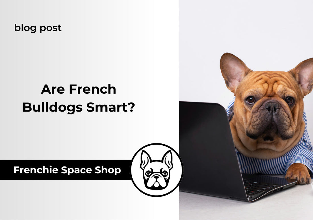 are french bulldogs smart