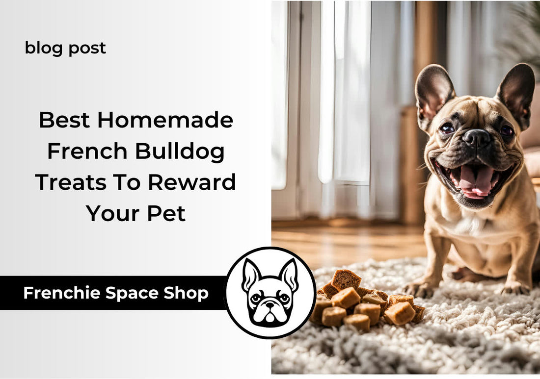 frenchie space homemade frenchie treats