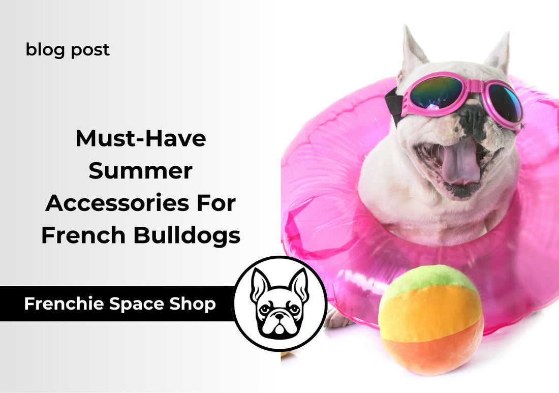 frenchie essentials