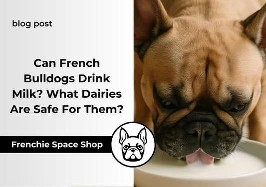 Can French Bulldogs Drink Milk? What Dairies Are Safe For Them?
