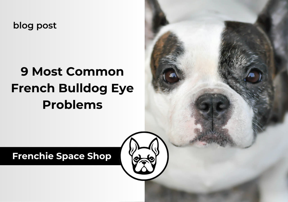 eye problems in french bulldogs