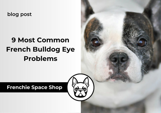 eye problems in french bulldogs