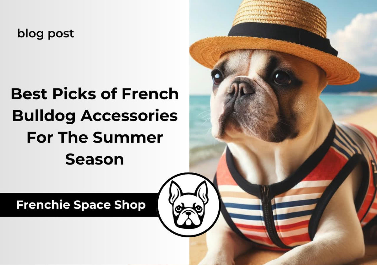 french bulldog accessories