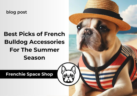 french bulldog accessories