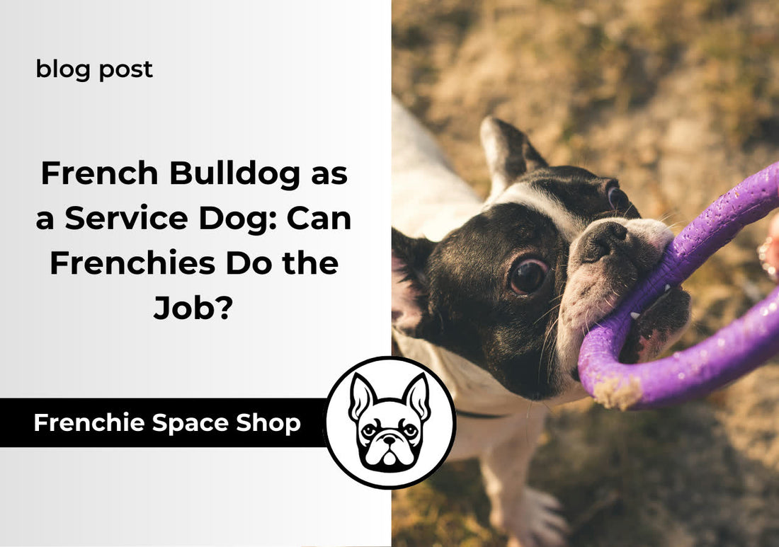 frenchie space french bulldog service dog