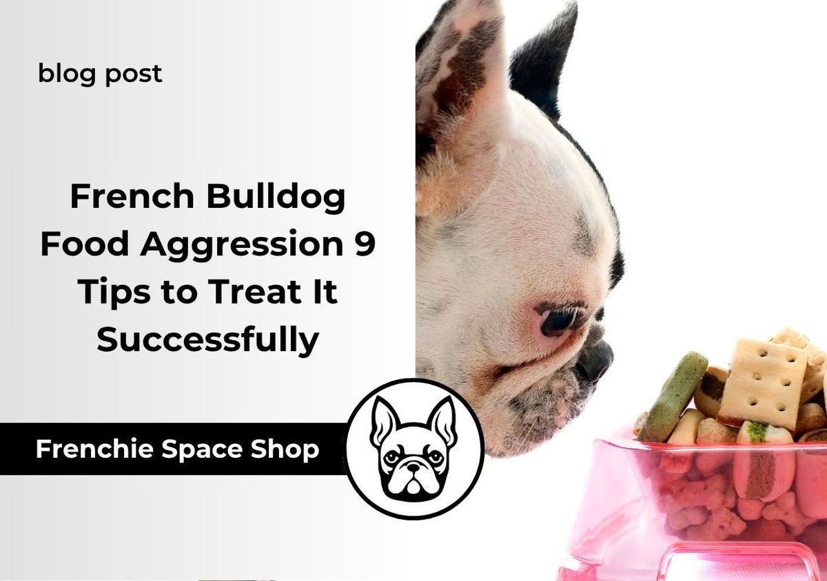 frenchie space French Bulldog Food Aggression 9 Tips to Treat It Successfully