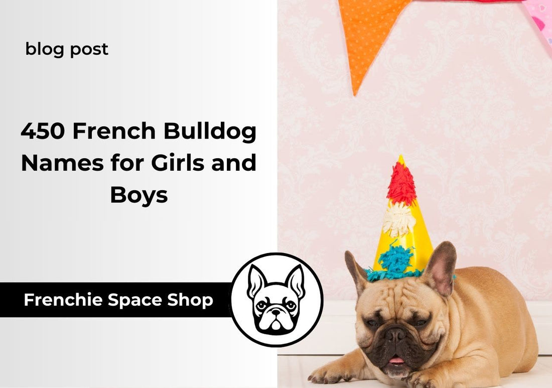 450 French Bulldog Names for Girls and Boys