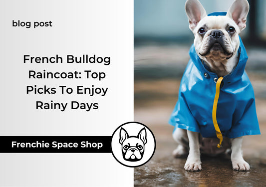 french bulldog raincoats frenchie space