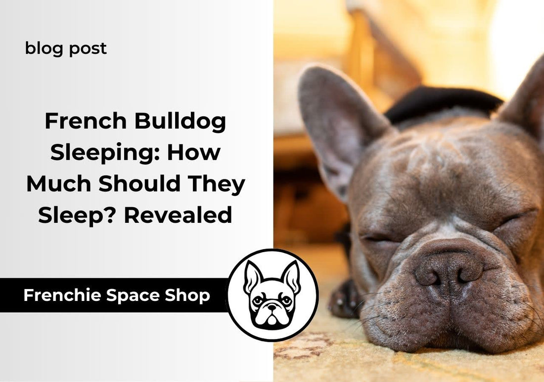 sleeping time of a frenchie