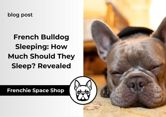 sleeping time of a frenchie