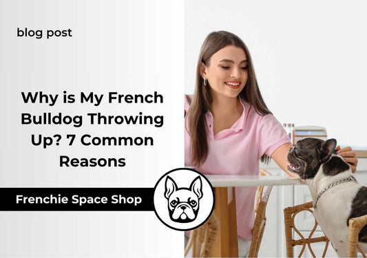 frenchie vomiting