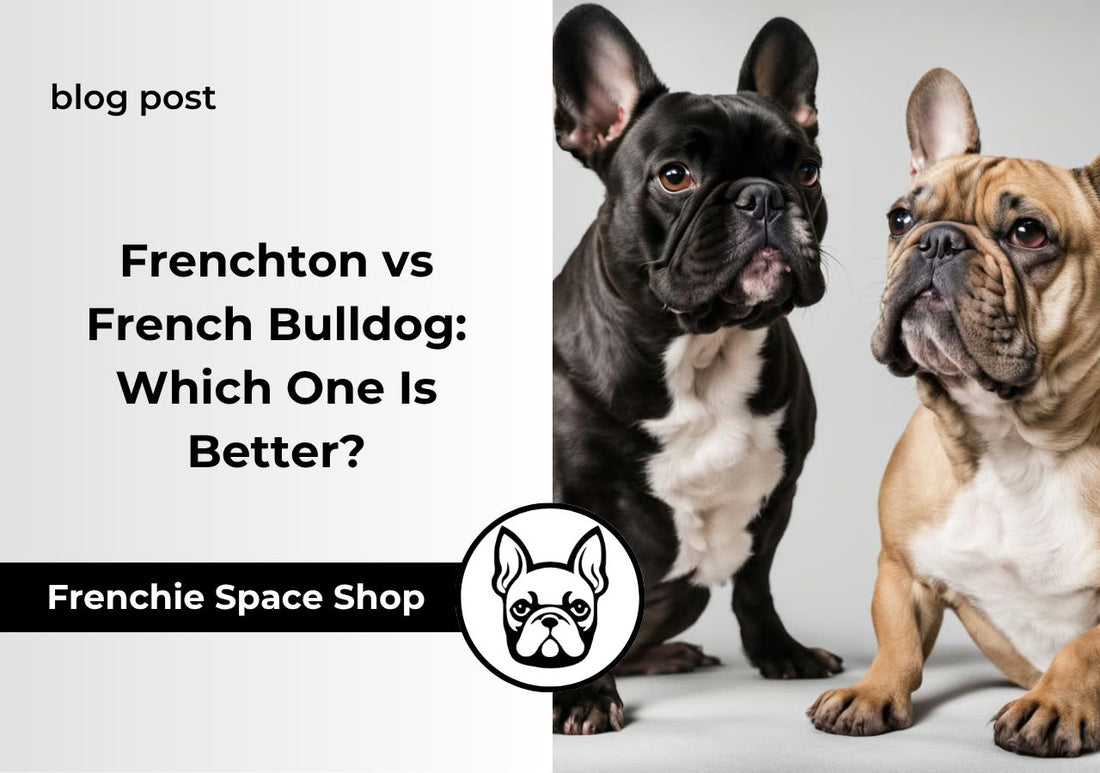 frenchton vs french bulldog