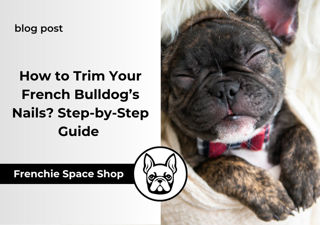 How to Trim Your French Bulldog’s Nails? Step-by-Step Guide