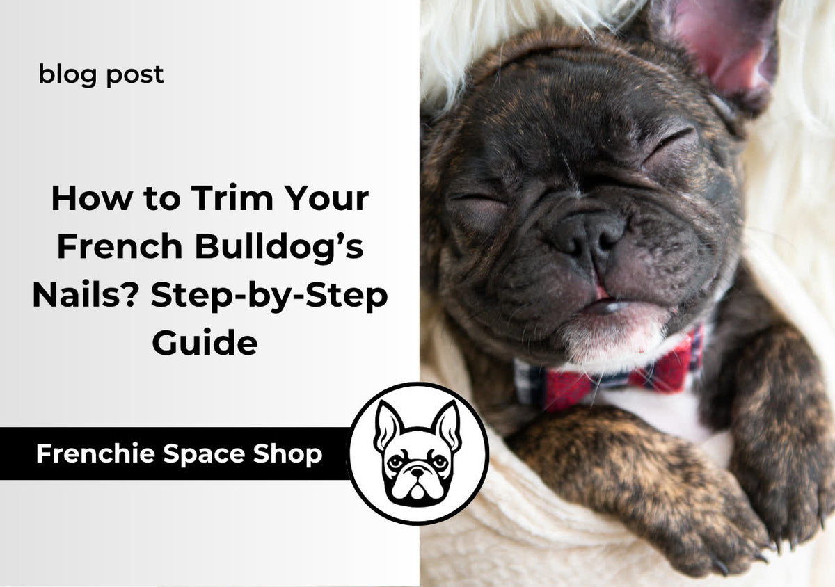 How to Trim Your French Bulldog’s Nails? Step-by-Step Guide