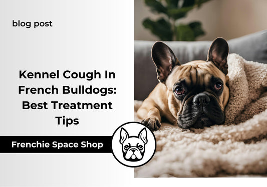 Kennel Cough in French Bulldogs: How To Treat It?