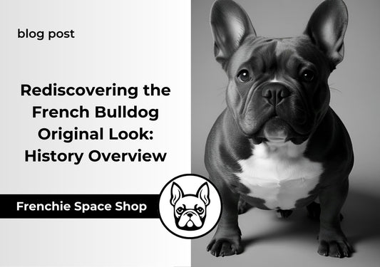 Rediscovering the French Bulldog Original Look: History Overview