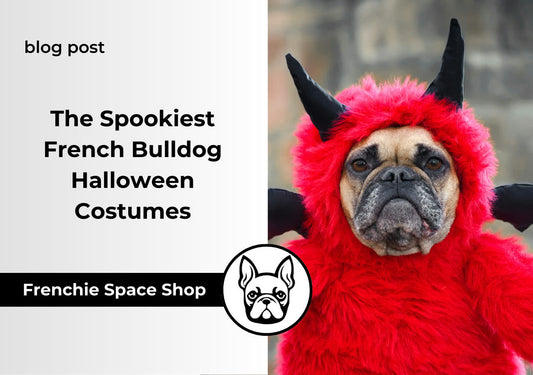 french bulldog halloween costumes