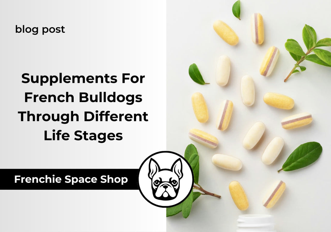 frenchie space french bulldog supplements