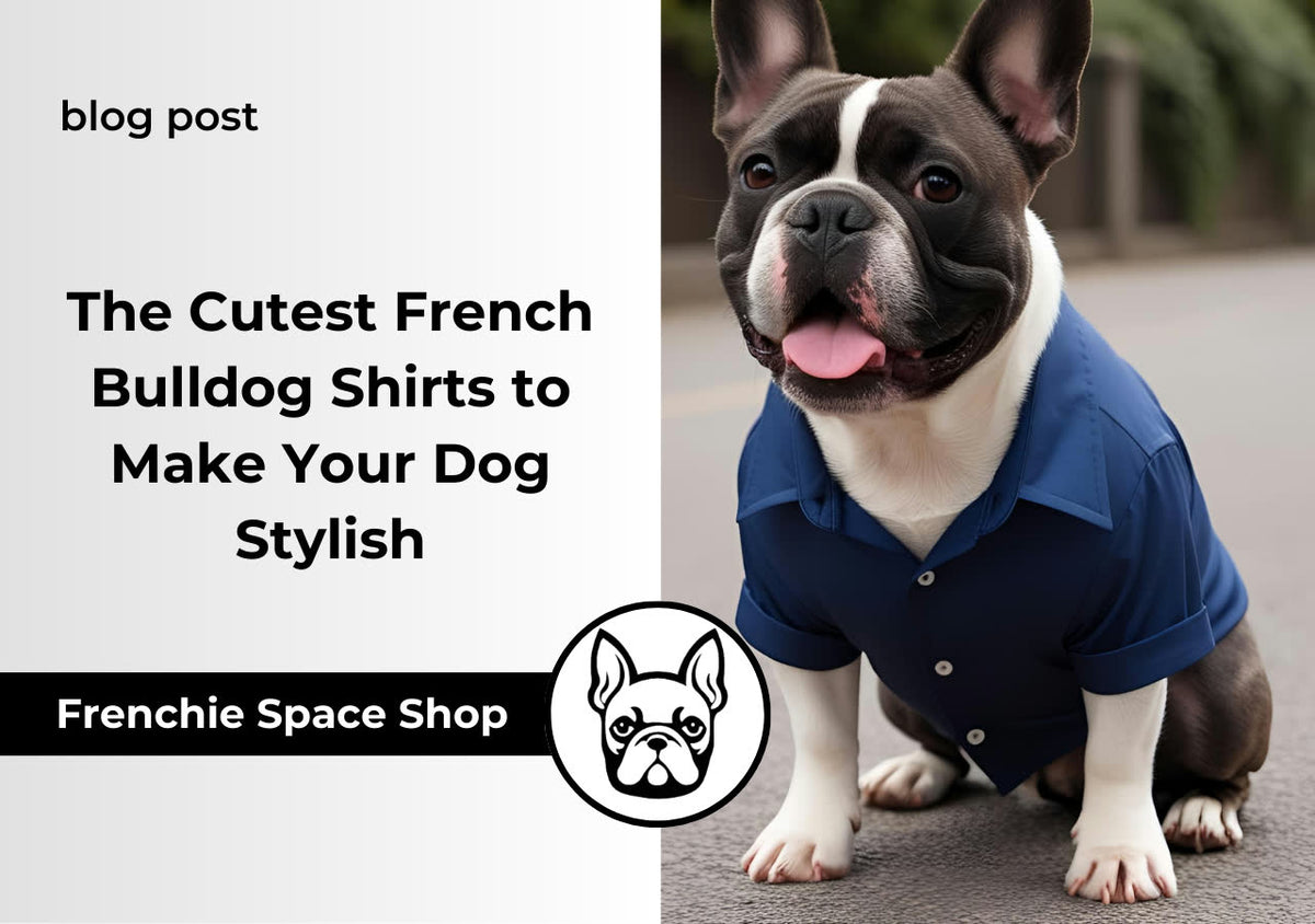 shirts for frenchies