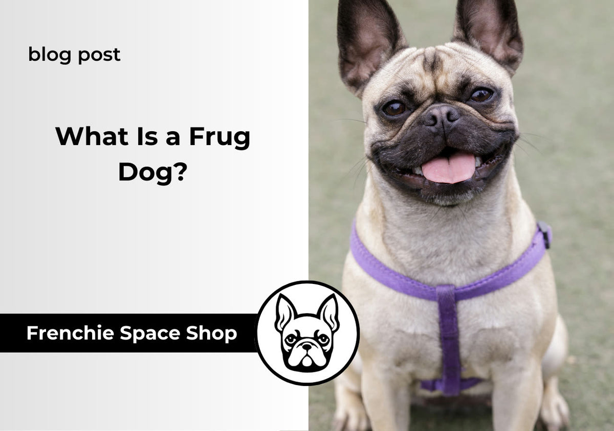frug dog