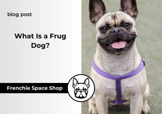 frug dog