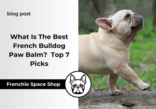 frenchie space french bulldog paw balm