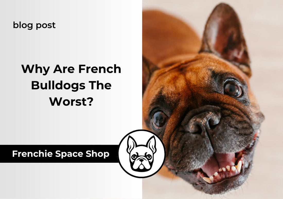 french bulldogs are the worst