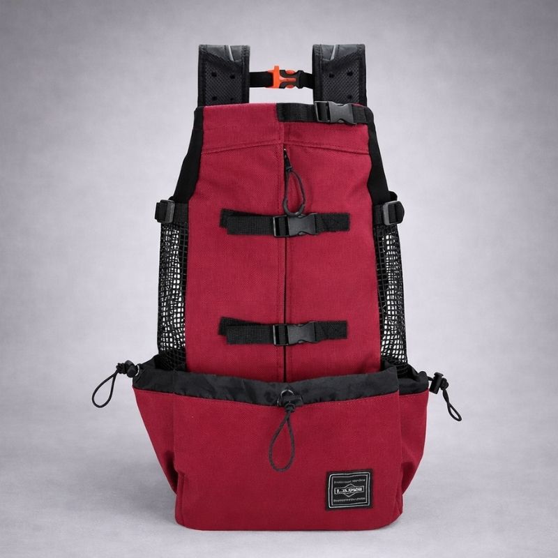 French Bulldog Mesh Carrier
