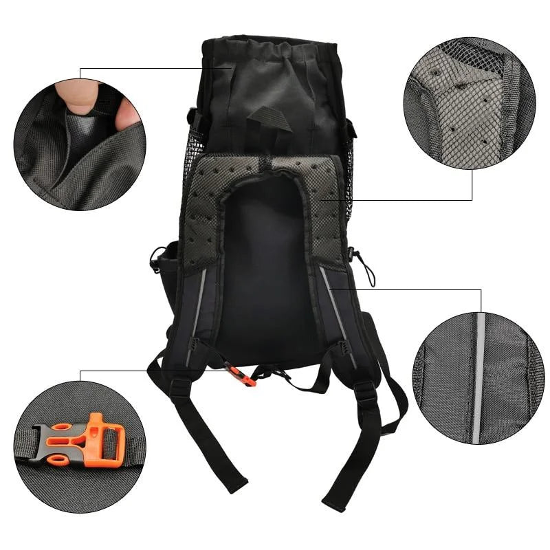 French Bulldog Mesh Carrier