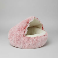 Red Short Plush