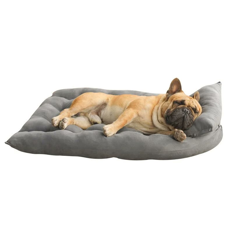frenchie space shop 2-in-1 french bulldog bed