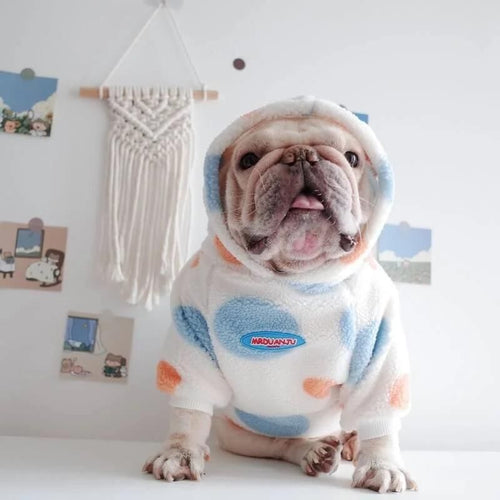 frenchie space shop 7th heaven frenchie hoodie