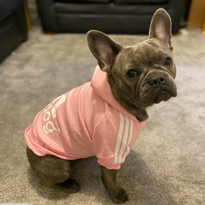 frenchie space shop adidog french bulldog hoodie