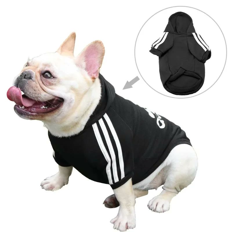 frenchie space shop adidog french bulldog hoodie