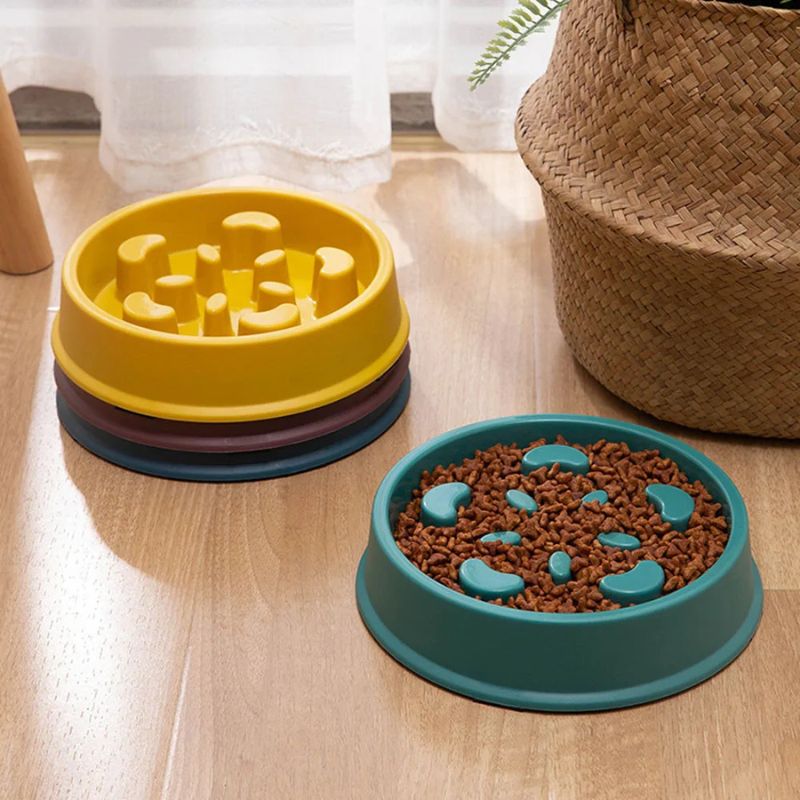 anti-gulping french bulldog bowl