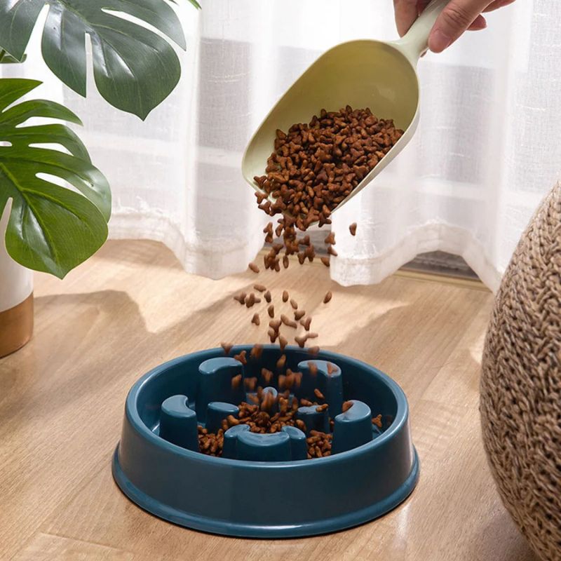 anti-gulping french bulldog bowl