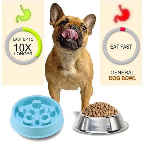 anti-gulping french bulldog bowl