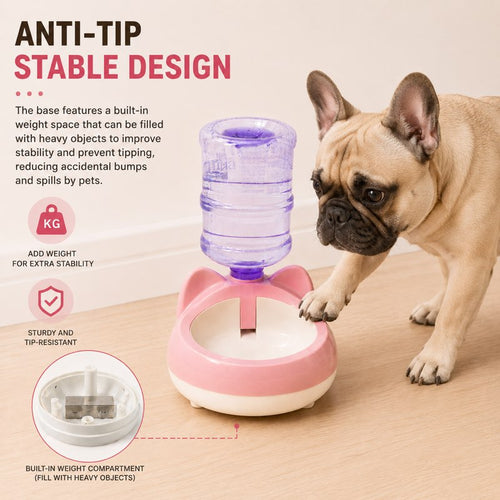 French Bulldog next to the anti tip weighted base of the water bowl