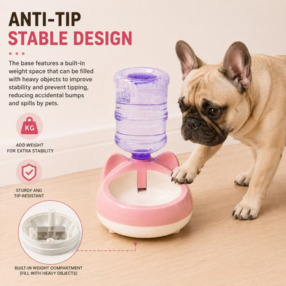 French Bulldog next to the anti tip weighted base of the water bowl