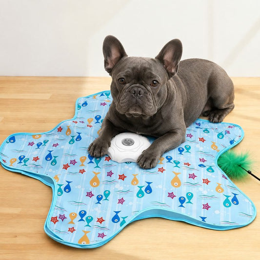 French bulldog lying on the automatic self play teaser toy mat