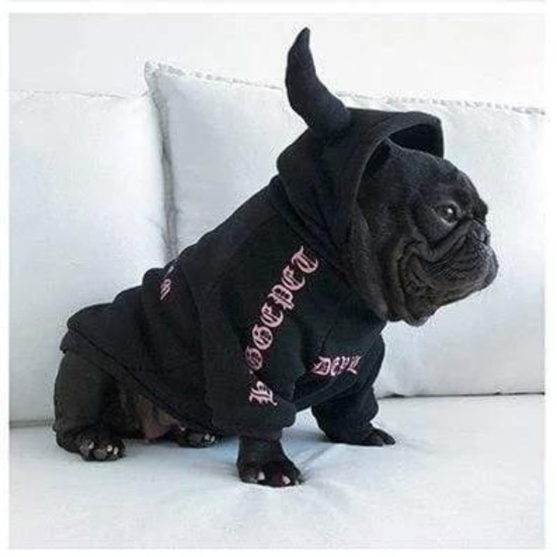 frenchie space shop badside french bulldog hoodie